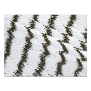 Stripes And Splashes Photo Print