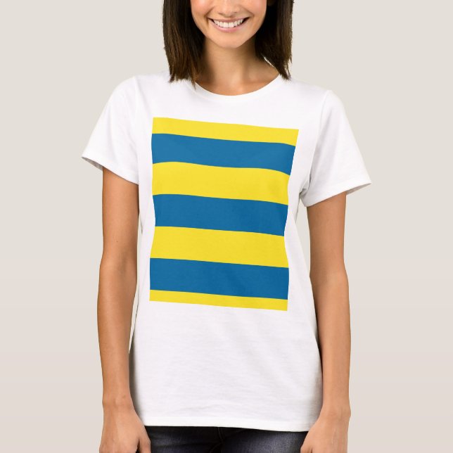 Stripes | Blue & Yellow | Customisable T-Shirt (Front)