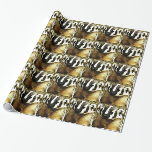 stripes of the badger wrapping paper