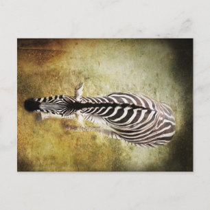 Stripes Postcard