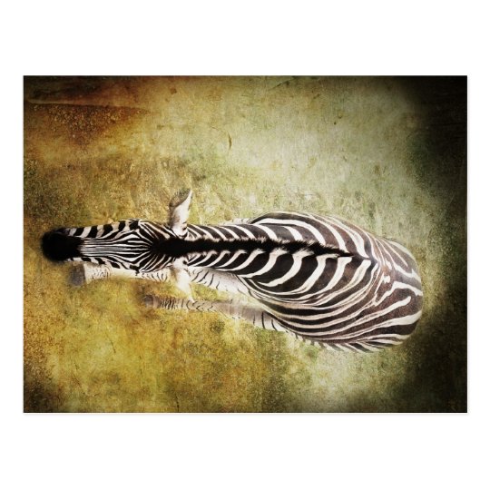 Stripes Postcard