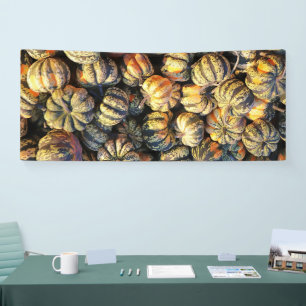 Stripey Pumpkins Cluster  Banner