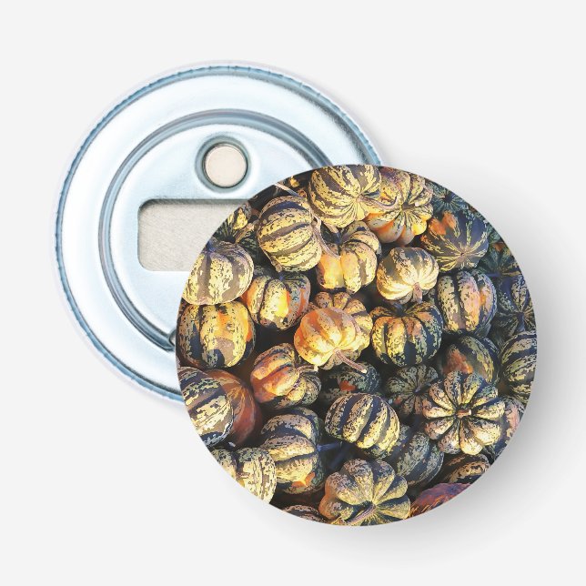 Stripey Pumpkins Cluster  Bottle Opener (Front)