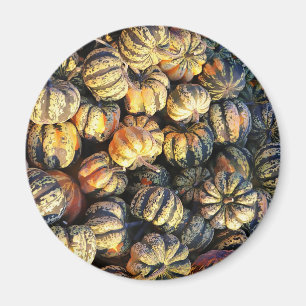 Stripey Pumpkins Cluster Magnet
