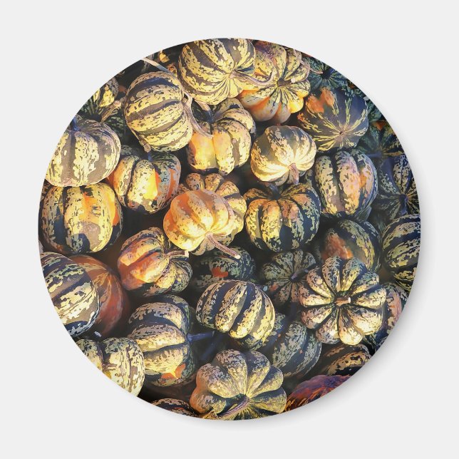 Stripey Pumpkins Cluster  Magnet (Front)