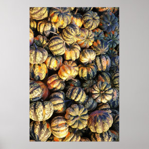 Stripey Pumpkins Cluster Poster