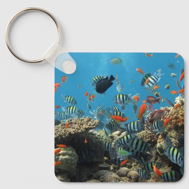 Stripey Tropical Fish Coral Chaos Key Ring (Front)