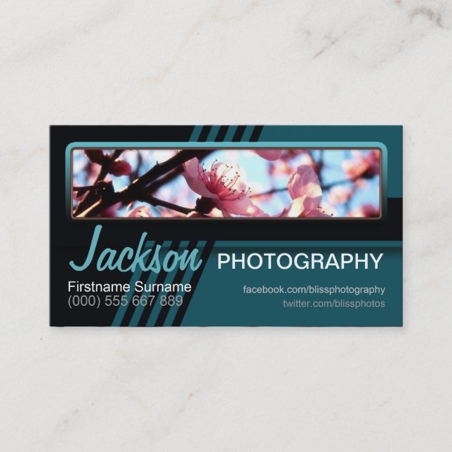 Stripy Teal Photography Photo Business Card (Front)
