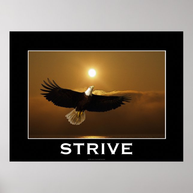 STRIVE ~ Flying Bald Eagle Motivational Poster (Front)