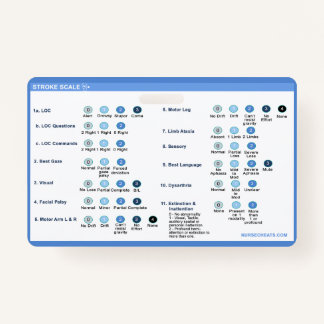 Stroke Scale Badge Companion ID Badge