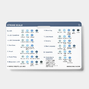 STROKE SCALE BADGE ID BADGE