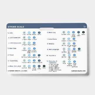 STROKE SCALE ID BADGE