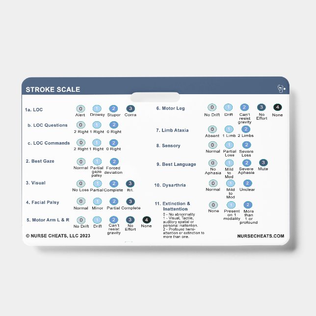 STROKE SCALE ID BADGE (Front)