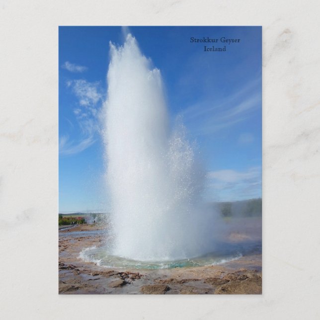 Strokkur Geyser Iceland Holiday Postcard (Front)