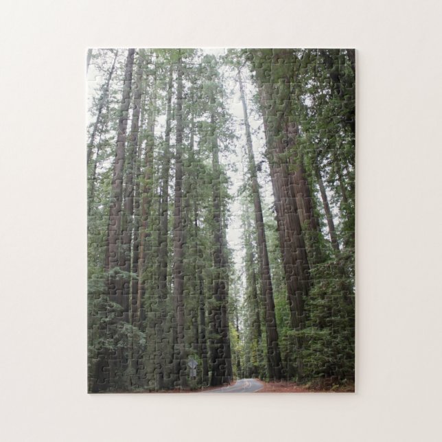 Stroll Through Redwoods Jigsaw Puzzle (Vertical)