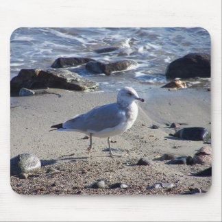 Strolling Gull Mouse Mat