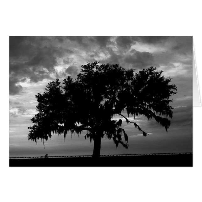 Strong as an Oak (Front Horizontal)
