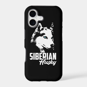 Strong Husky Siberian