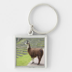 strong llama peru key ring