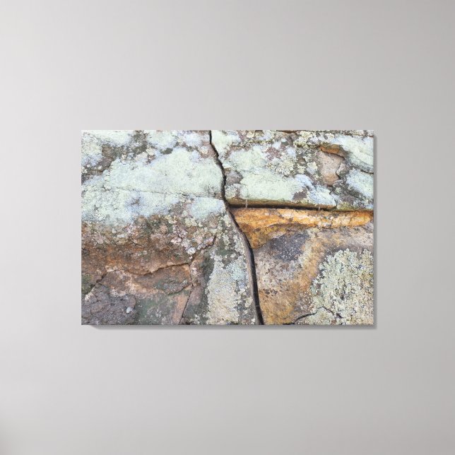 STRONG NATURE SCREEN CANVAS PRINT (Front)