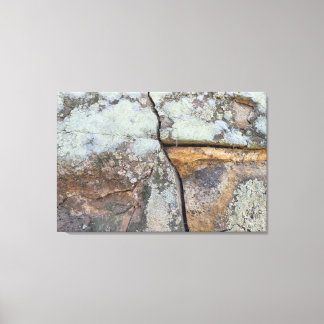 STRONG NATURE SCREEN CANVAS PRINT
