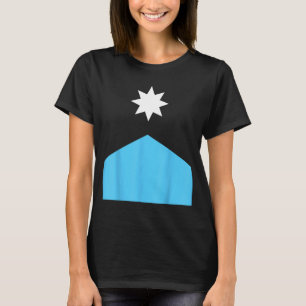 Strong New Minnesota State Flag T-Shirt