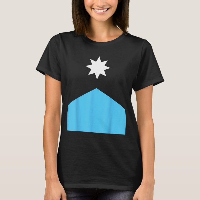 Strong New Minnesota State Flag T-Shirt (Front)