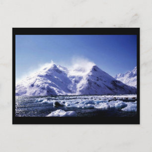 Strong West Wind in Harriman Fjord Postcard