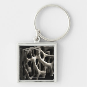 Structure of a bone with osteoporosis key ring