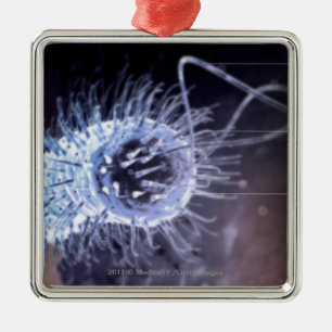 Structure of a helicobacter pylori cell metal tree decoration