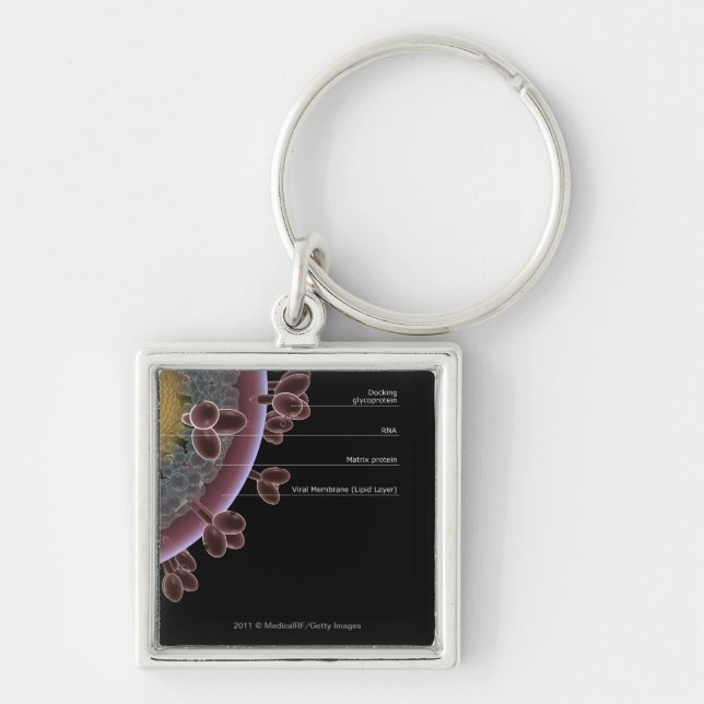 Structure of a HIV cell Key Ring (Front)