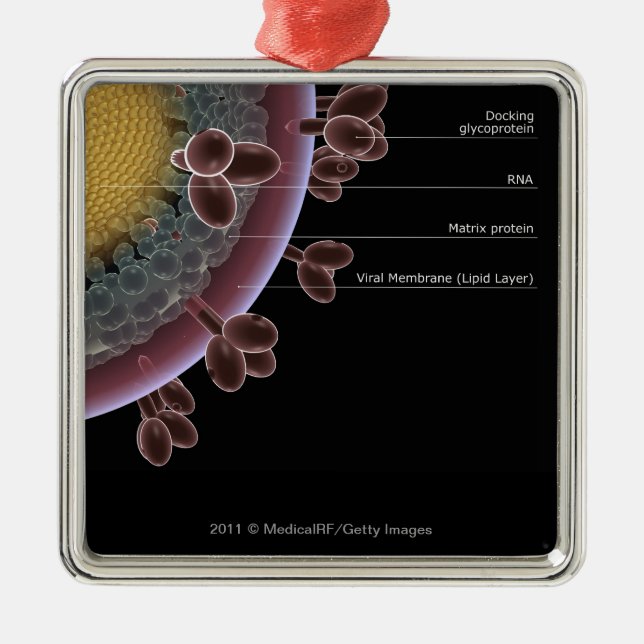 Structure of a HIV cell Metal Tree Decoration (Front)