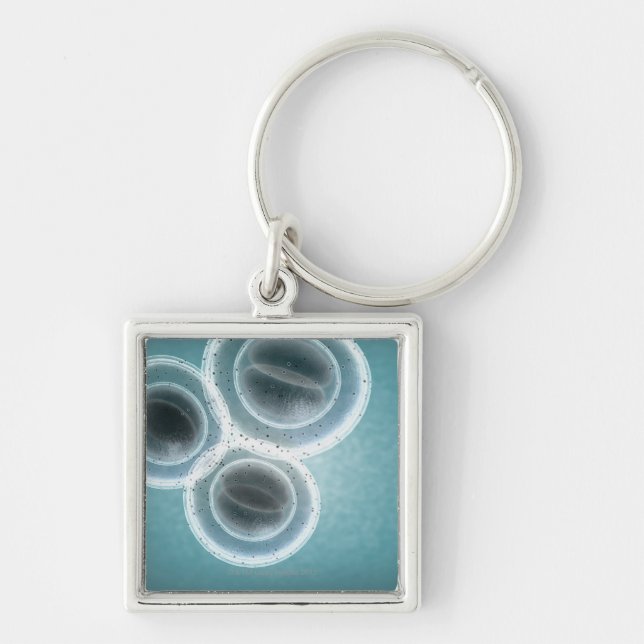 Structure of MRSA Key Ring (Front)