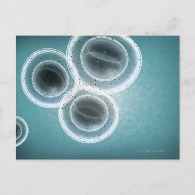 Structure of MRSA Postcard (Front)