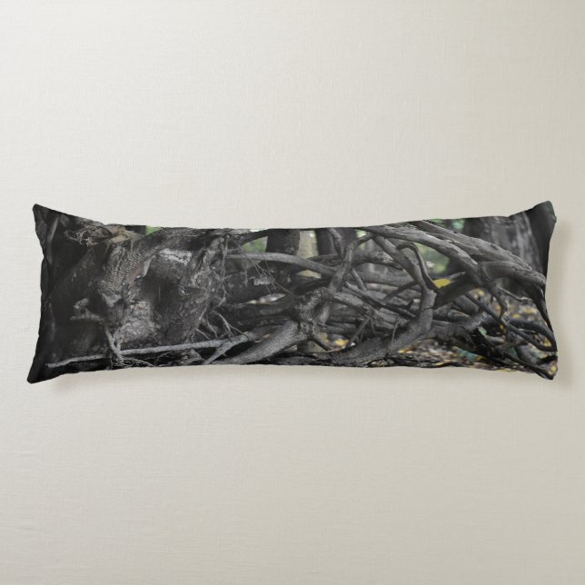 Structures of a fallen tree body cushion (Front)