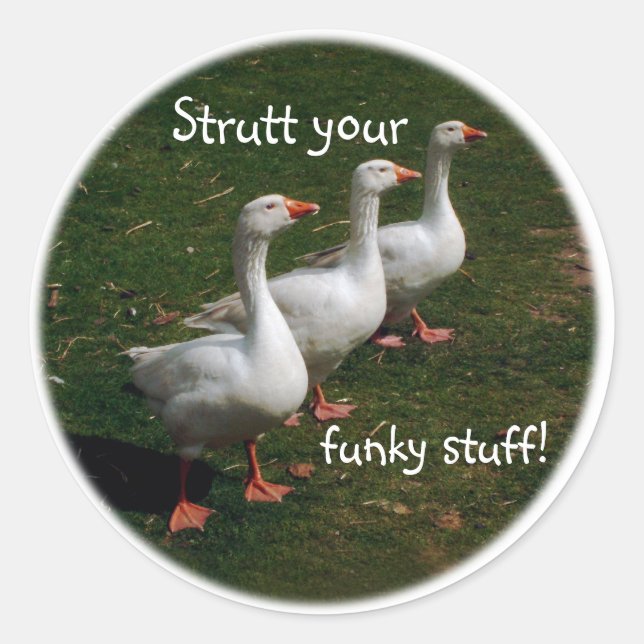 Strutt your funky stuff! classic round sticker (Front)