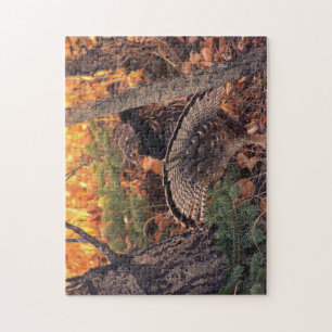 Strutting male ruffed grouse jigsaw puzzle