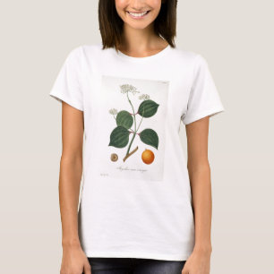 Strychnos nux vomica from 'Phytographie Medicale' T-Shirt