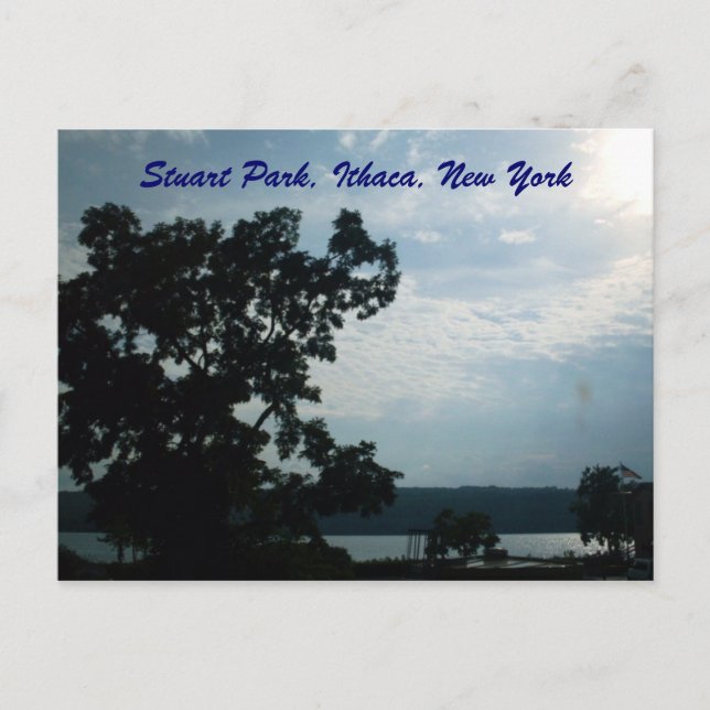 STUART PARK,ITHACA,NEW YORK postcard (Front)