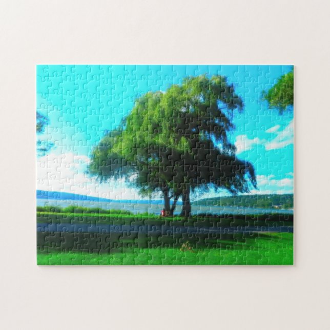 STUART PARK ITHACA puzzle (Horizontal)