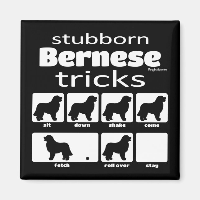 Stubborn Bernese Tricks Magnet (Front)