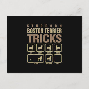Stubborn Boston Terrier Tricks Dog Lover T-Shirt Postcard