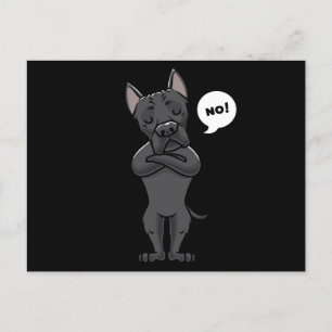 Stubborn Cane Corso Italiano Dog funny Postcard