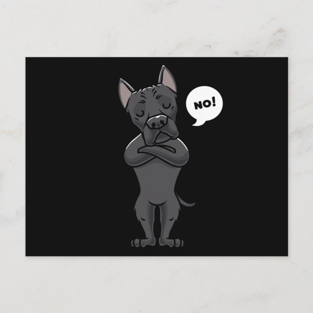 Stubborn Cane Corso Italiano Dog funny Postcard (Front)