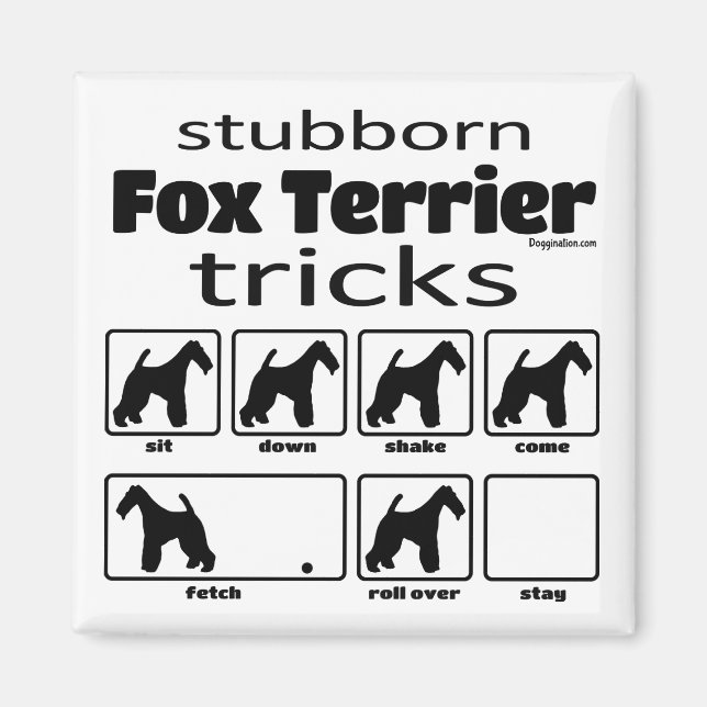 Stubborn Fox Terrier Tricks Magnet (Front)
