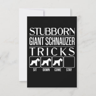 Stubborn Giant Schnauzer Tricks, Funny Giant Schna RSVP Card