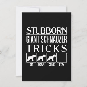 Stubborn Giant Schnauzer Tricks, Funny Giant Schna Thank You Card