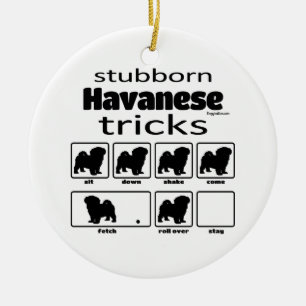 Stubborn Havanese Tricks Ceramic Tree Decoration