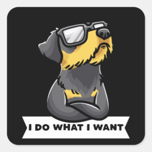 Stubborn Jagdterrier Dog funny Square Sticker