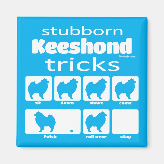 Stubborn Keeshond Tricks Magnet (Front)